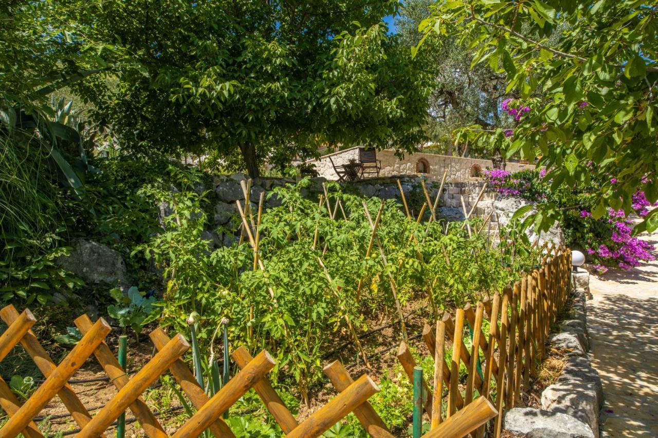 Etno House Wagner Villa Плоче Екстериор снимка